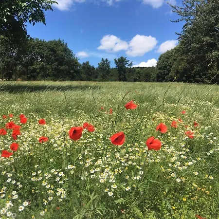 Cozy In Ploegsteert With A Garden בית נופש