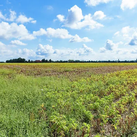 Casa de Férias Spacious Family