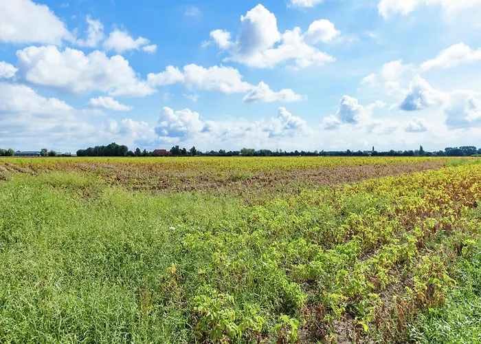 Prázdninový dům Spacious Family